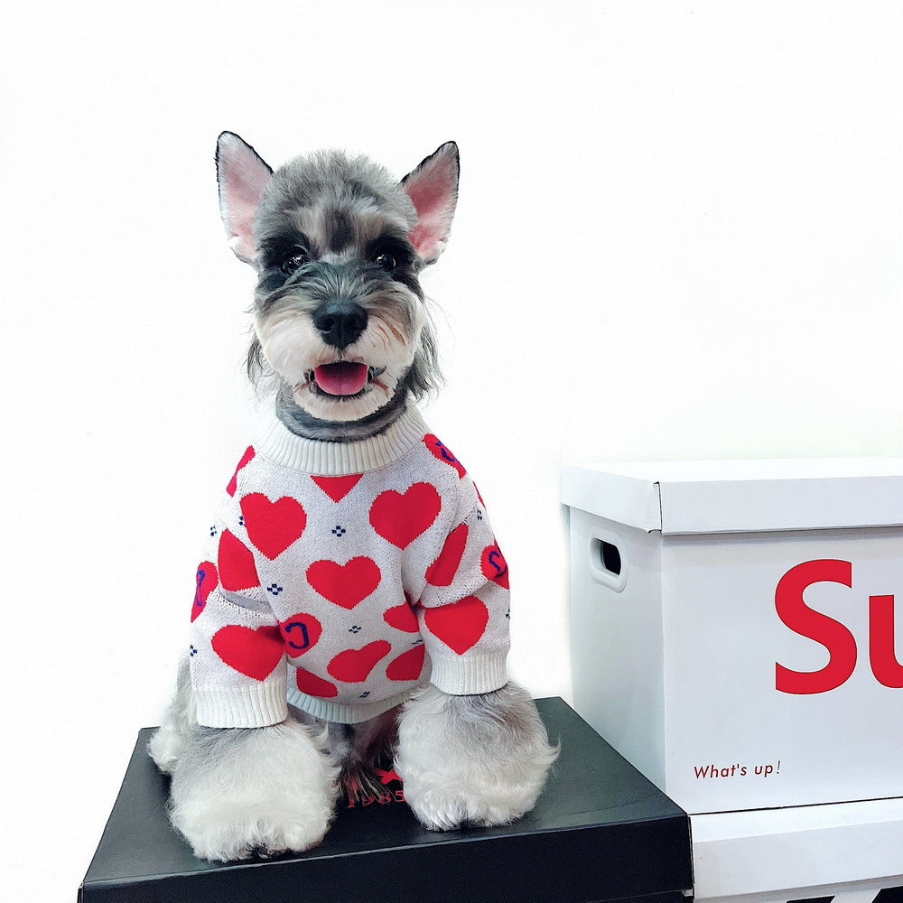 Schnauzer Teddy Love Sweater for Dogs and Cats