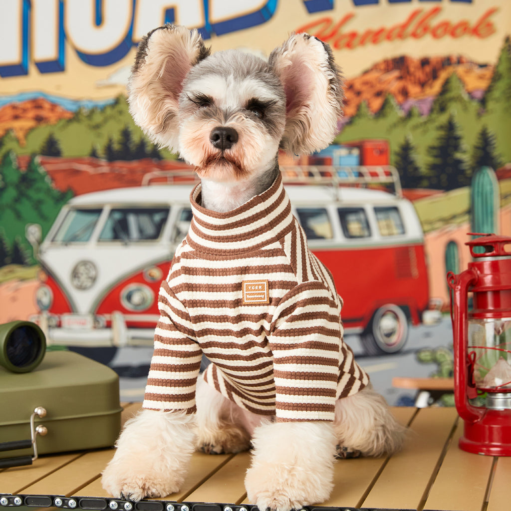 Striped High-Neck Two-Piece Cat Outfit
