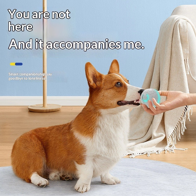 Smart Bouncing Pet Toy Ball