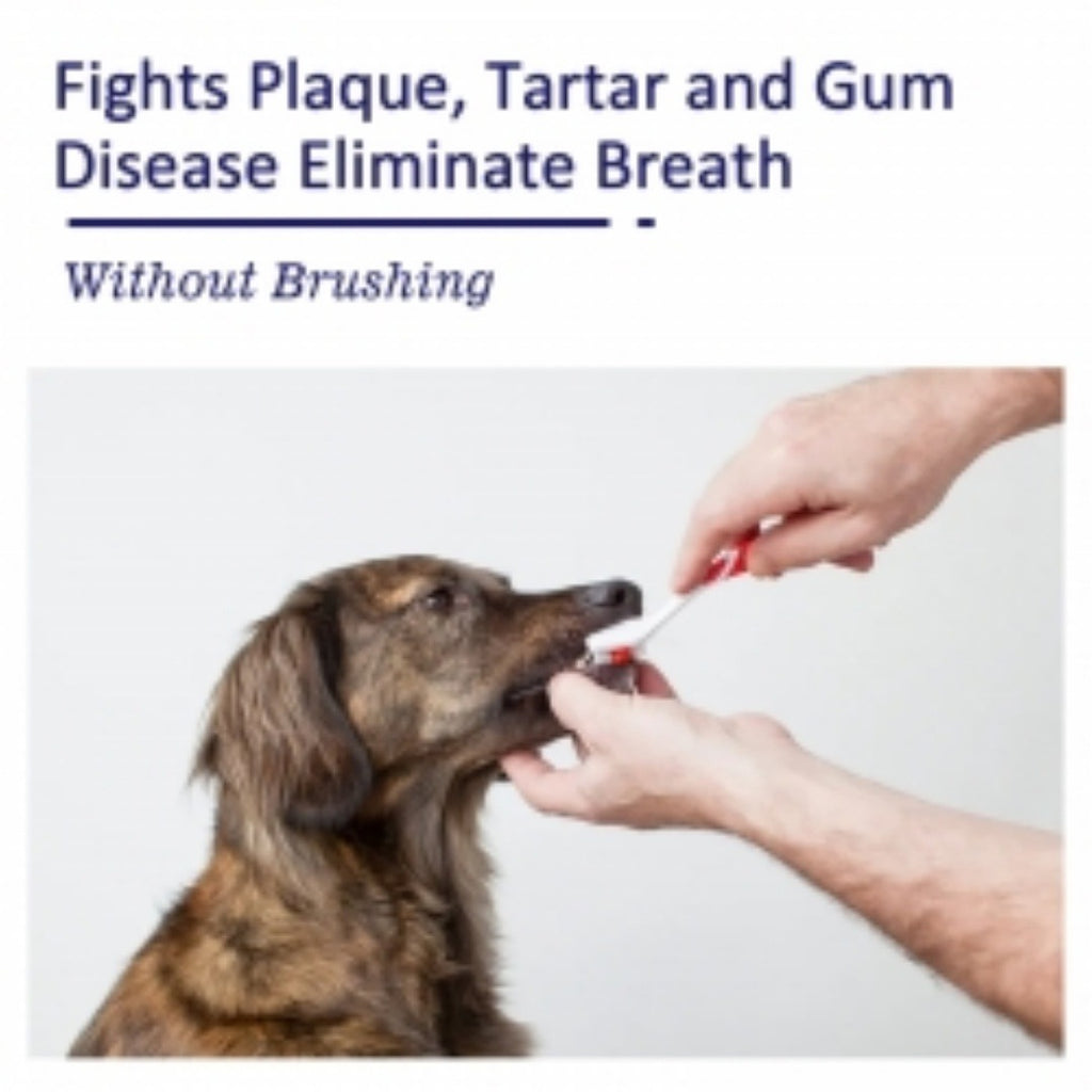 Pet Mouth Cleaning Cream for Cats & Dogs