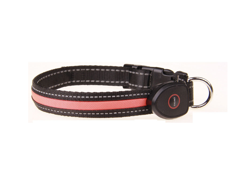 Luminous Dog Collar for Nighttime Visibility