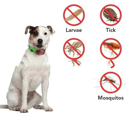 Flea & Tick Collar for Dogs