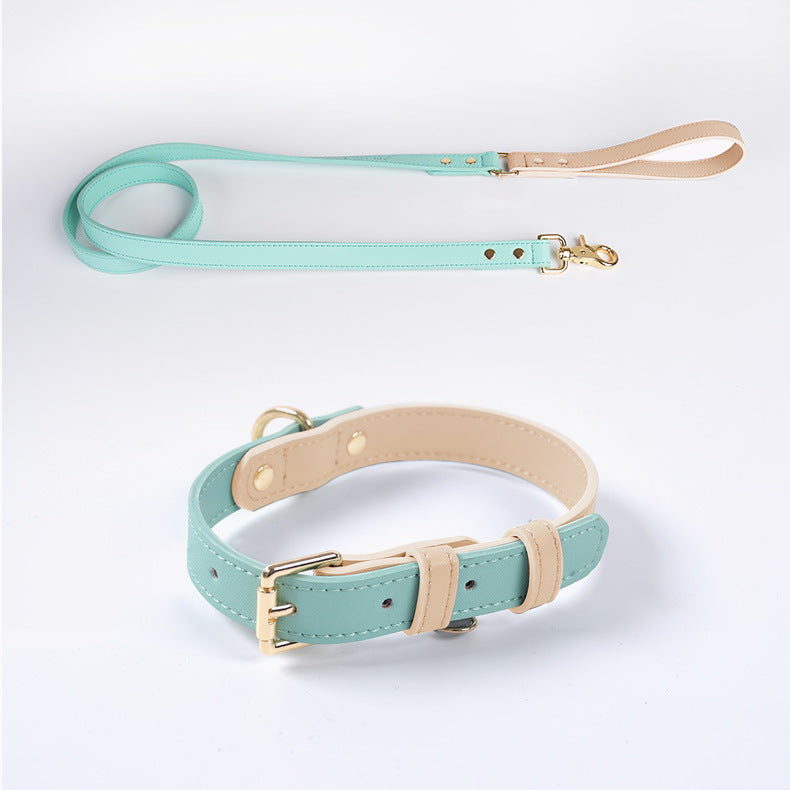 Leather Dog Leash & Collar
