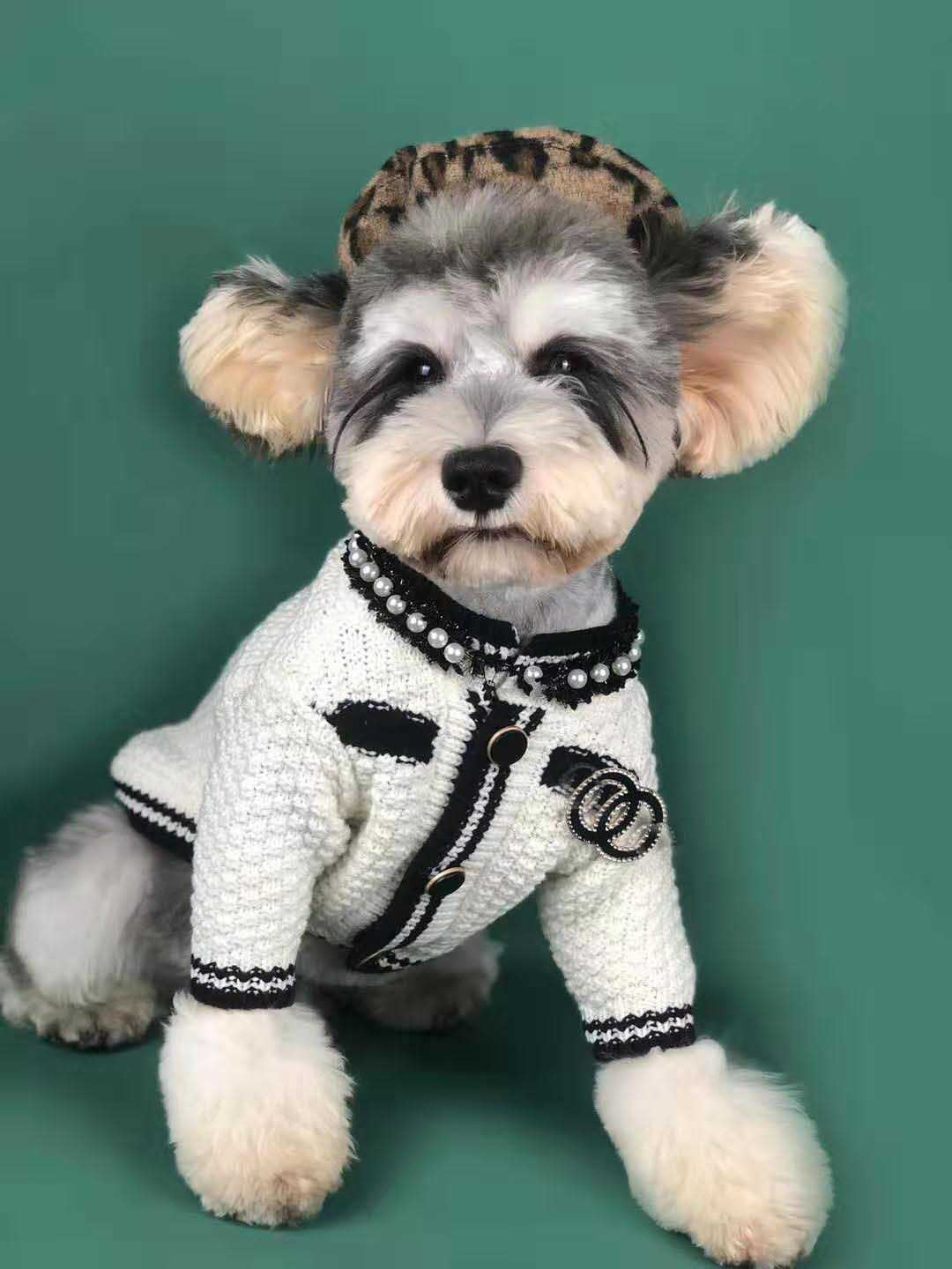 Spring Dog Sweater Cardigan for Small Breeds