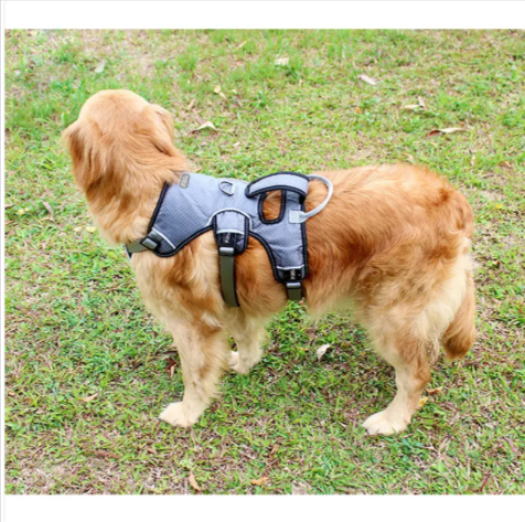 Breathable Dog Harness – Adjustable Fit