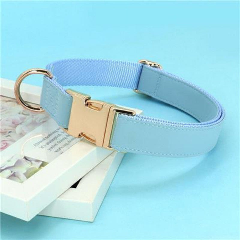 Gold Anti-Loss Dog Tag for Pets
