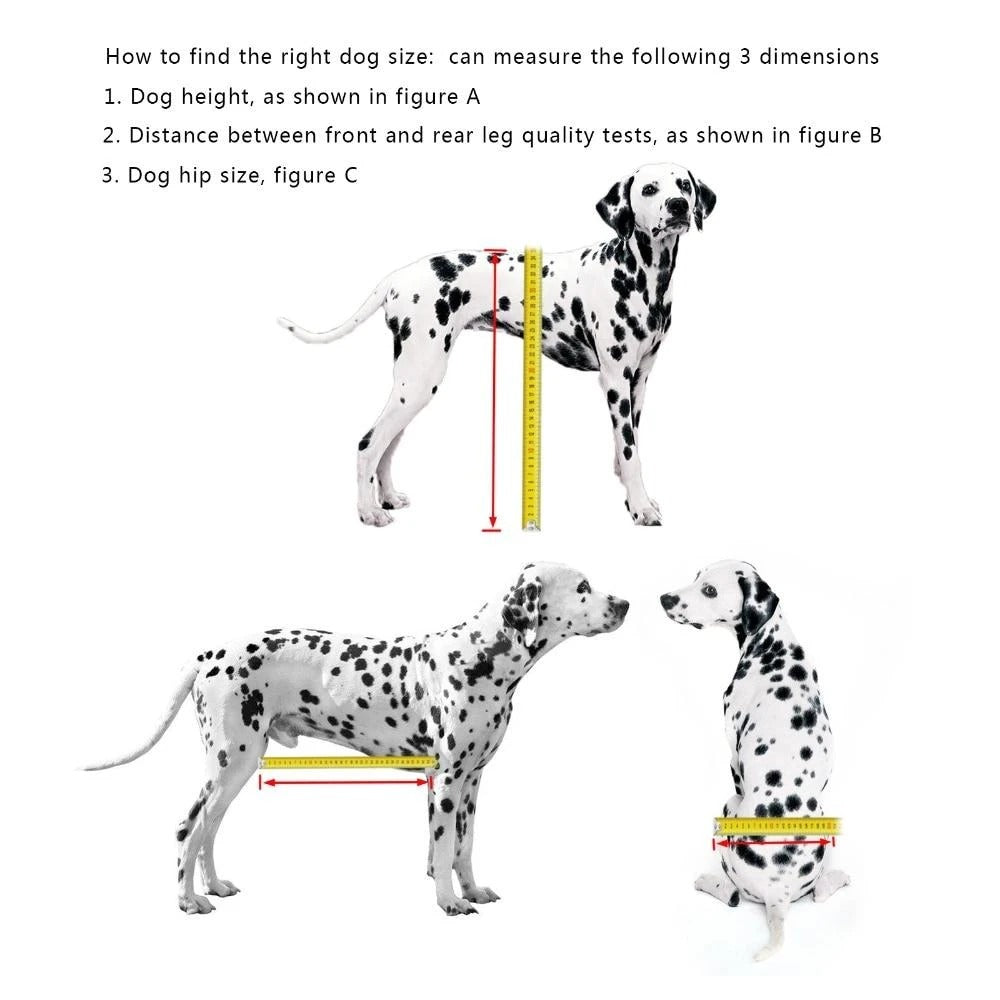 Dog Wheelchair for Rear Leg Paralysis - Pet Support