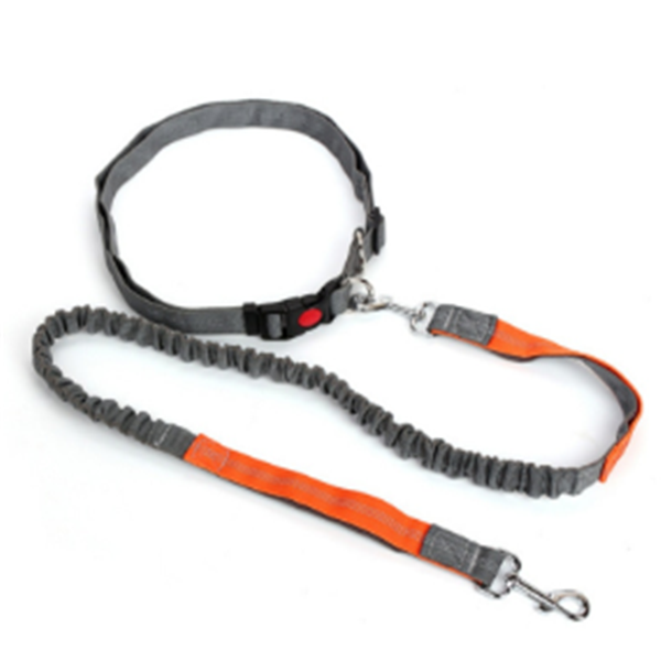 Dog Leash and Tethering Rope for Pets