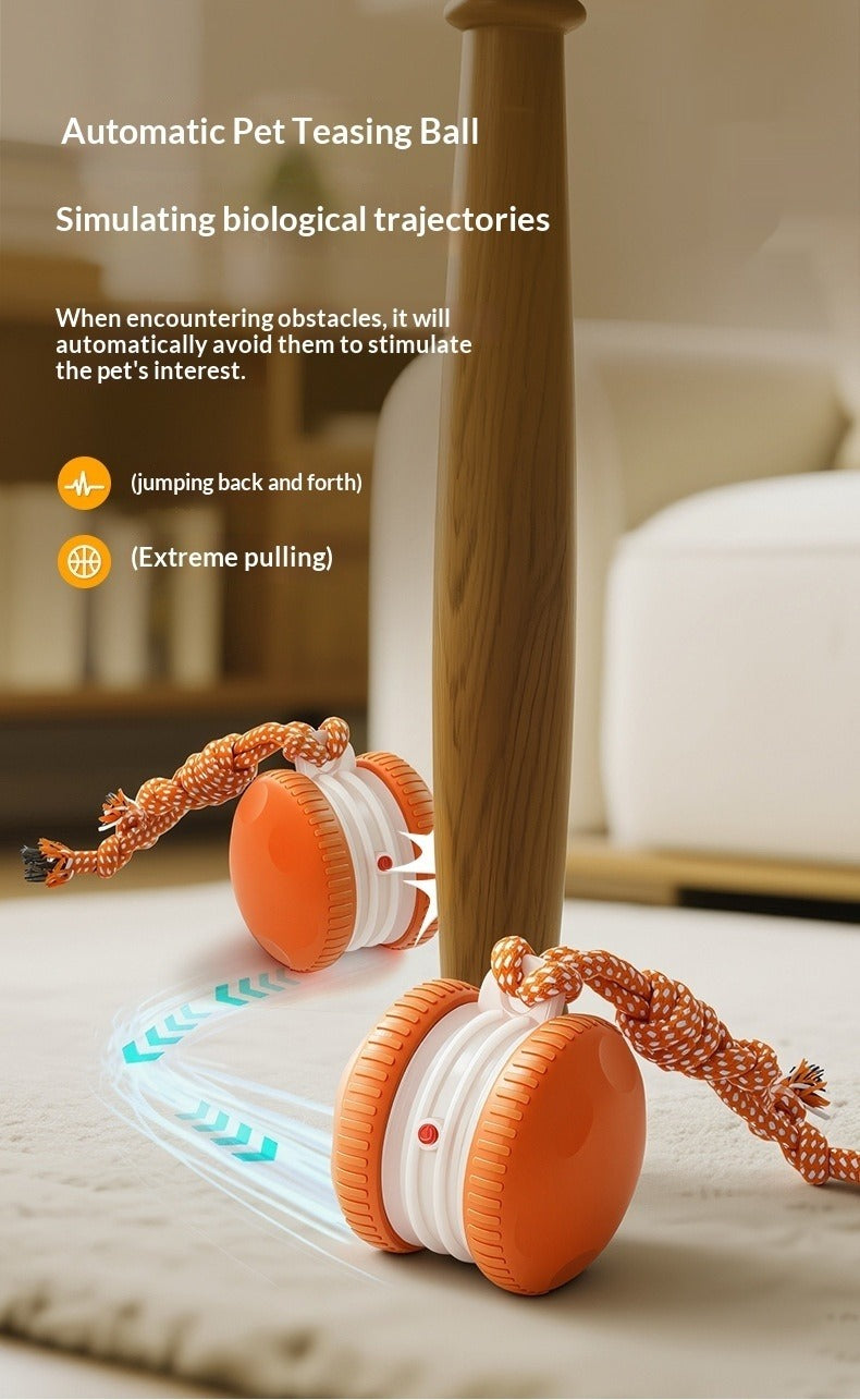 Pet Rolling Ball Toy