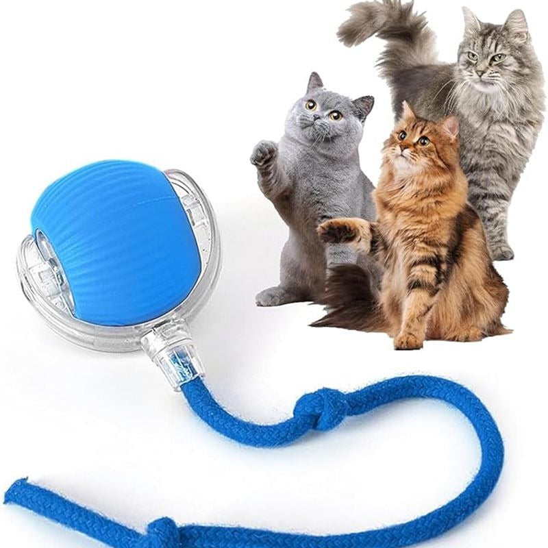 Cat Interactive Rolling Ball Toy