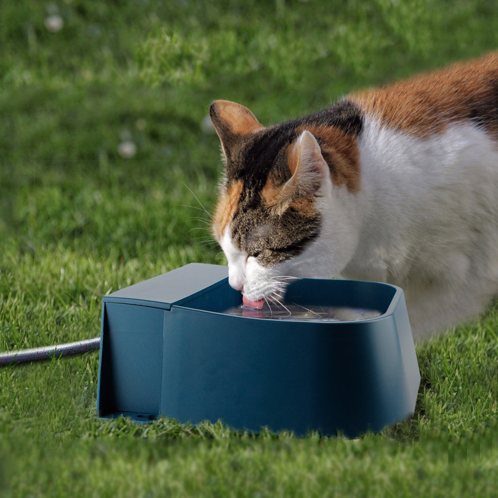 Automatic Float Water Dispenser for Pets and Livestock