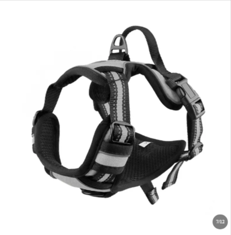 Adjustable Outdoor Dog Harness