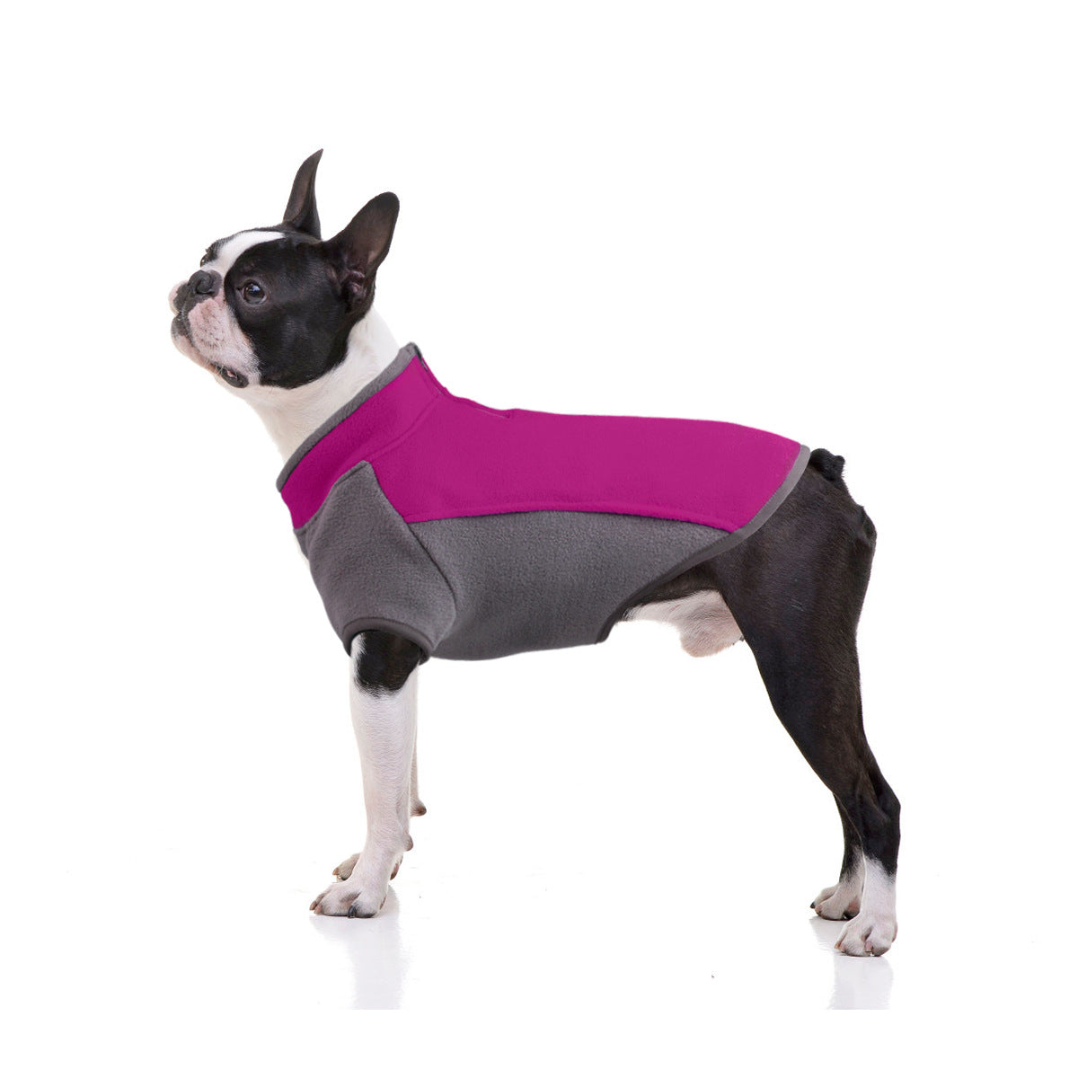 Thickened Stretchy Dog Clothes for Autumn and Winter