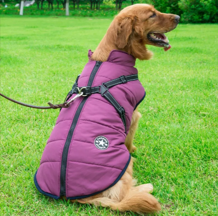 Winter Warm Hooded Coat for Small Dogs and Cats - view 78