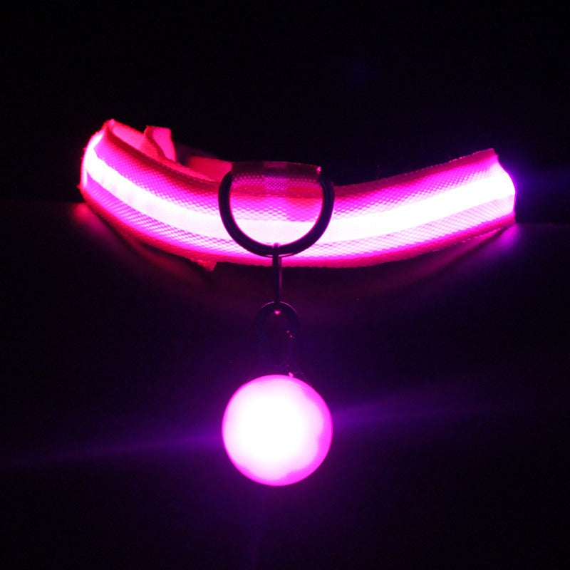 Luminous LED Dog Collar