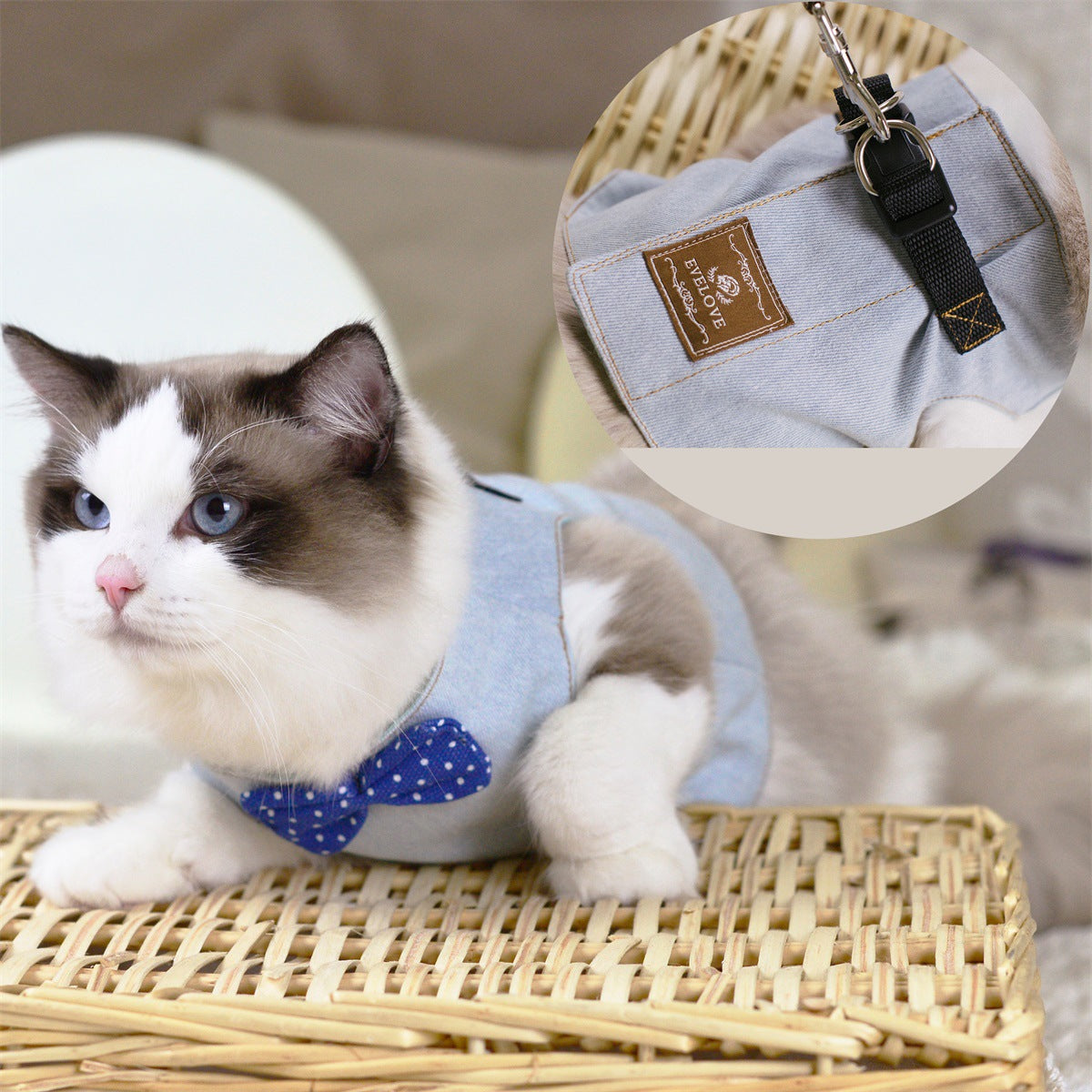 Cute Cat Chest Harness with Traction Rope