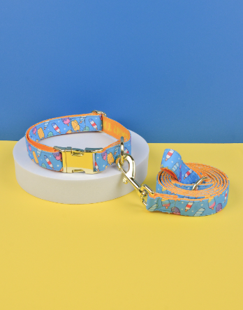 Double-Sided Pet Collar & Leash Set