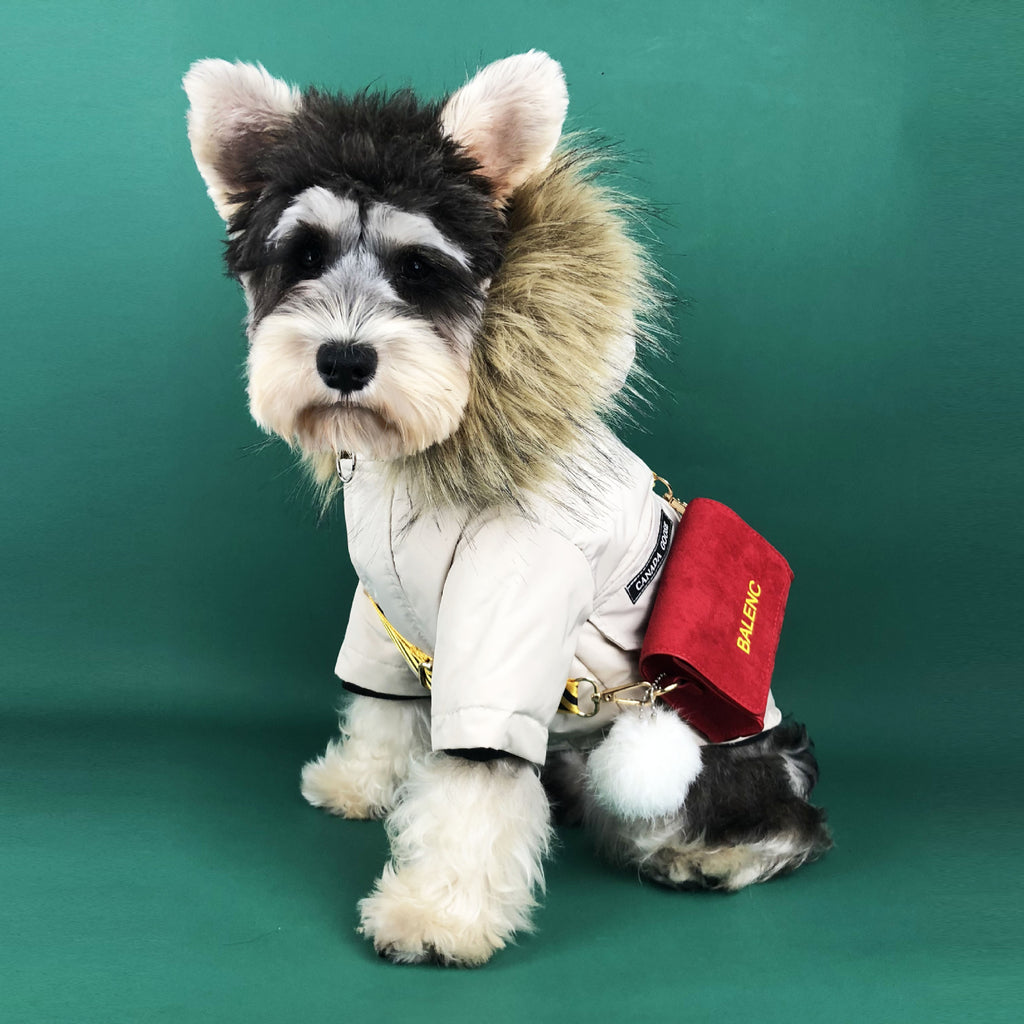 Winter Padded Dog Coat for Teddy and Pomeranian