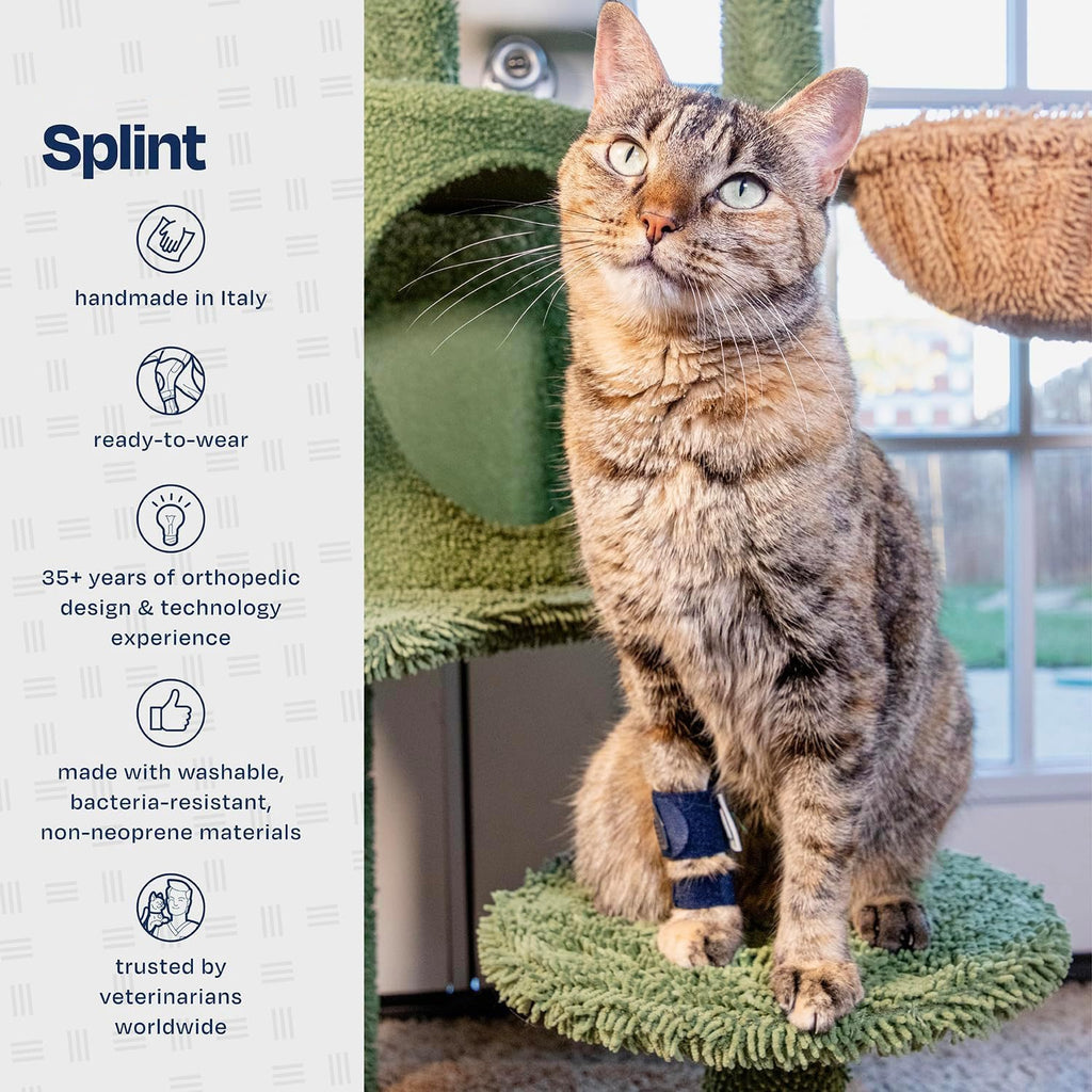Cat Foreleg Injury Support Brace