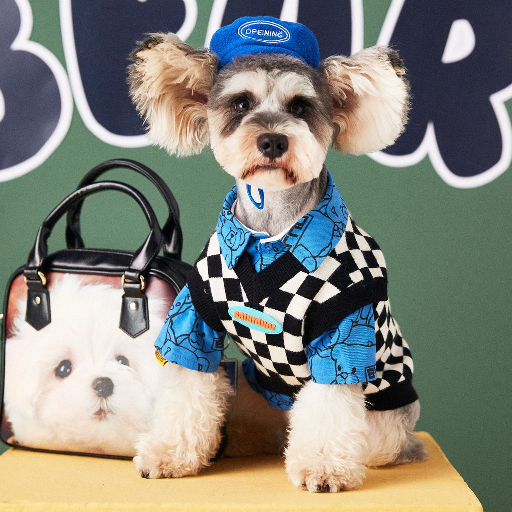 Simple Pure Color Dog Toy with Beret