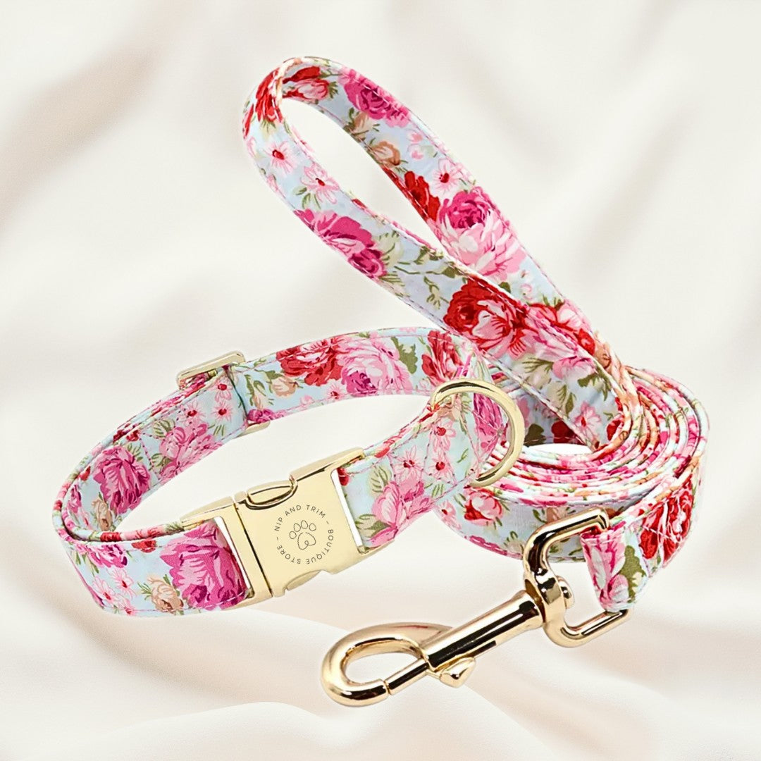 Custom Dog Collar with Personalized Name Tag