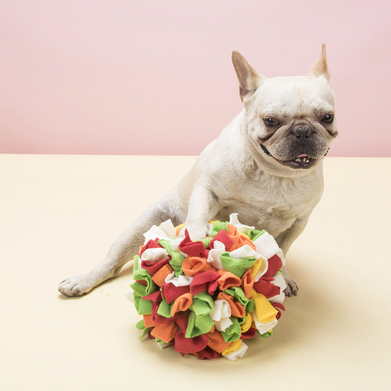 Hollow Bite-Resistant Rubber Toy for Pets