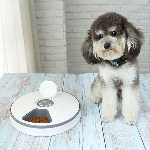 Automatic Pet Feeder for Cats and Small Dogs