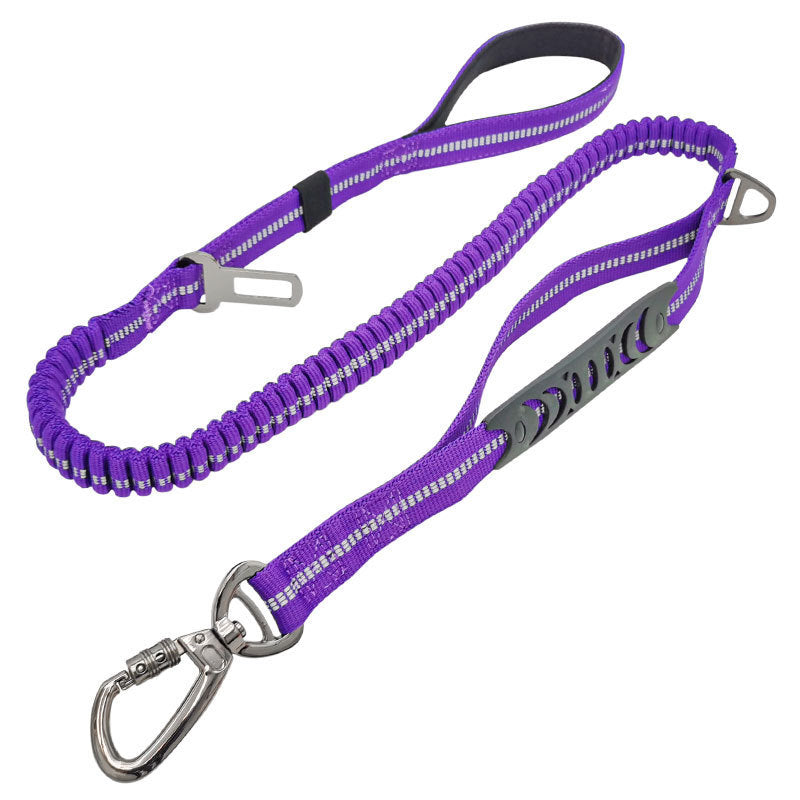 Cross-Border Dog Leash with Safety Features and Training
