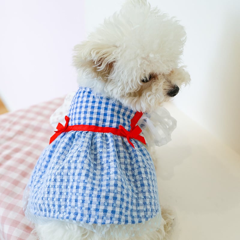 Yellow Plaid Sunflower Bee Skirt for Cats