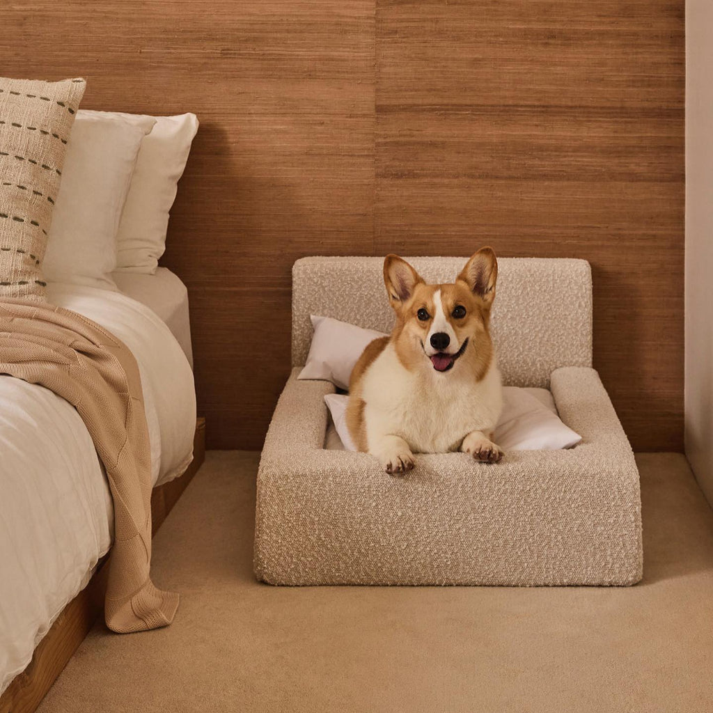Rectangular Bolster Pet Sofa Bed (S–L)