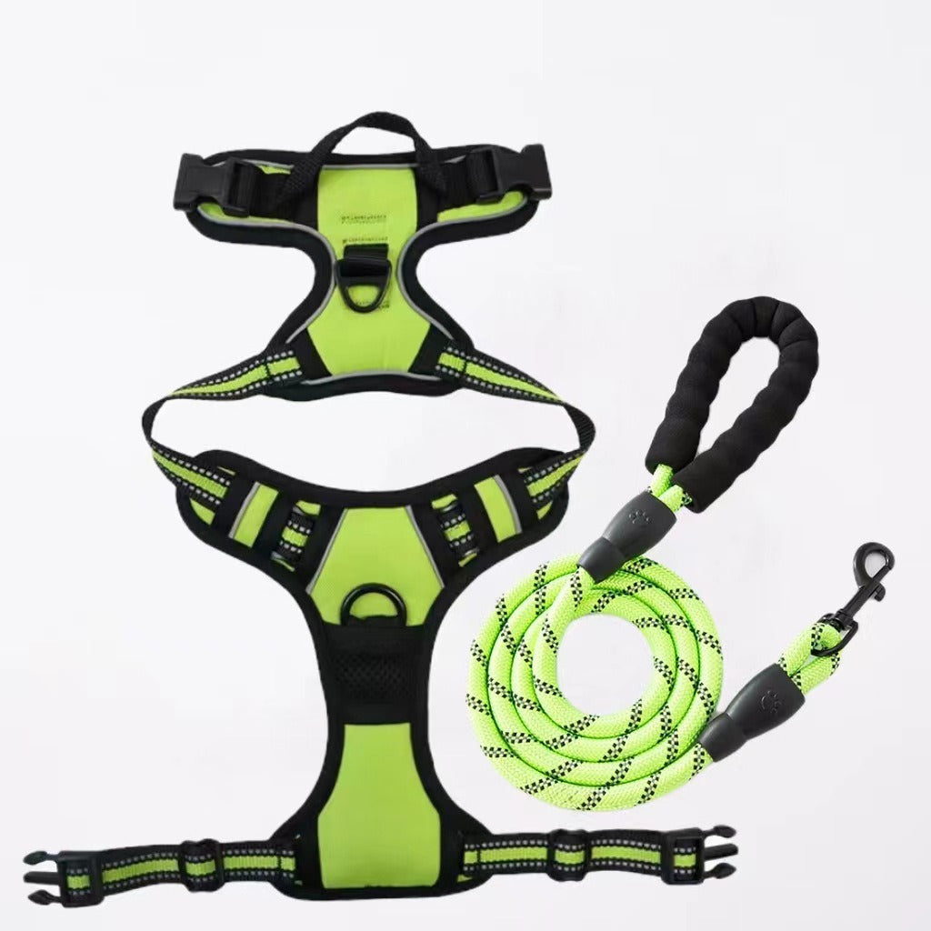 Nylon Dog Harness & Leash Set