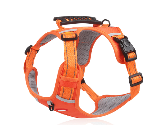 Pet Sports Chest Strap - Explosion-Proof Design