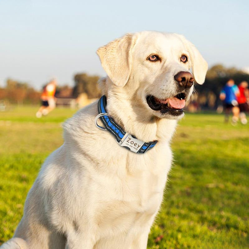Reflective Dog Collar with Engraving for Pets