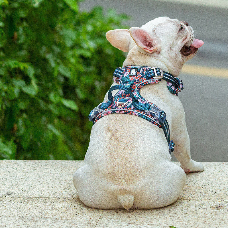 Vest-Type Dog Leash for Comfortable Walking