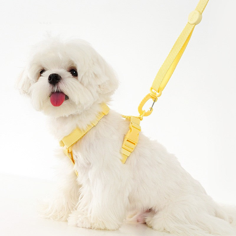 Korean Cat and Dog Macaron H-Type Collar with Lead