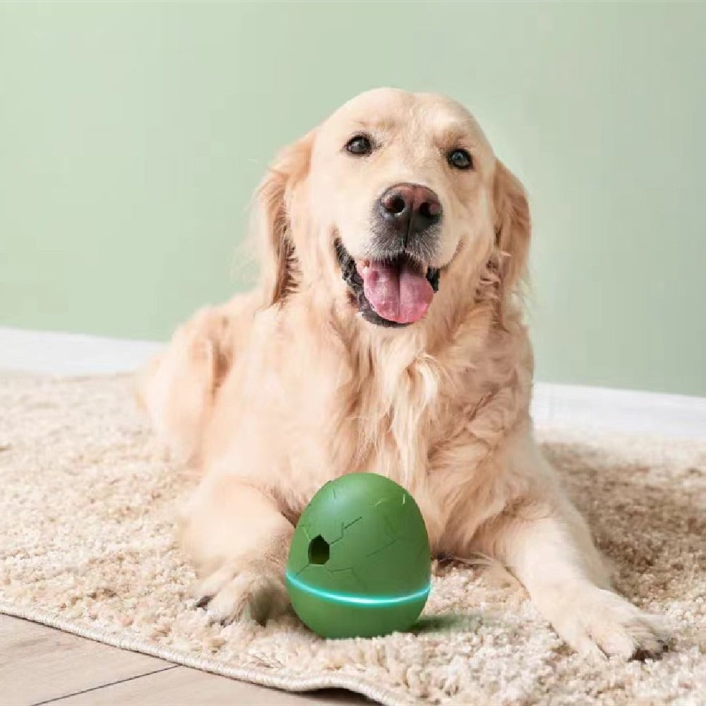 Egg-Shaped Dancing Pet Toy