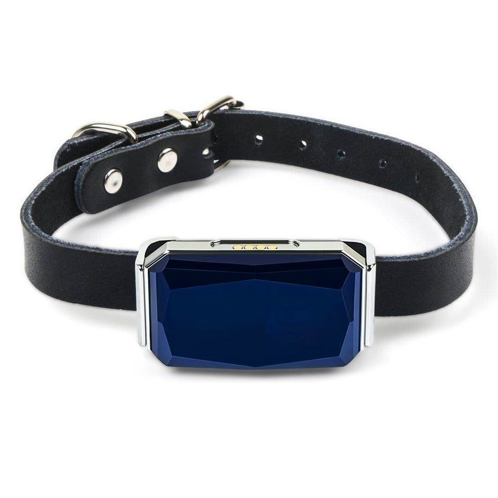 GPS Tracker for Pets