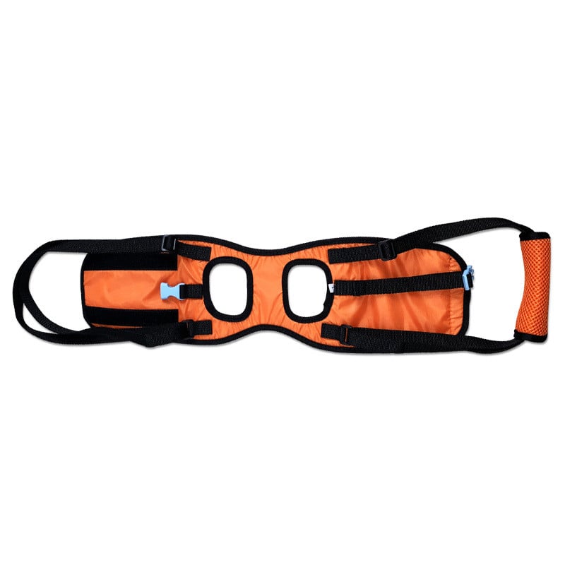 Portable Elastic Walking Assist Harness for Disabled Dogs