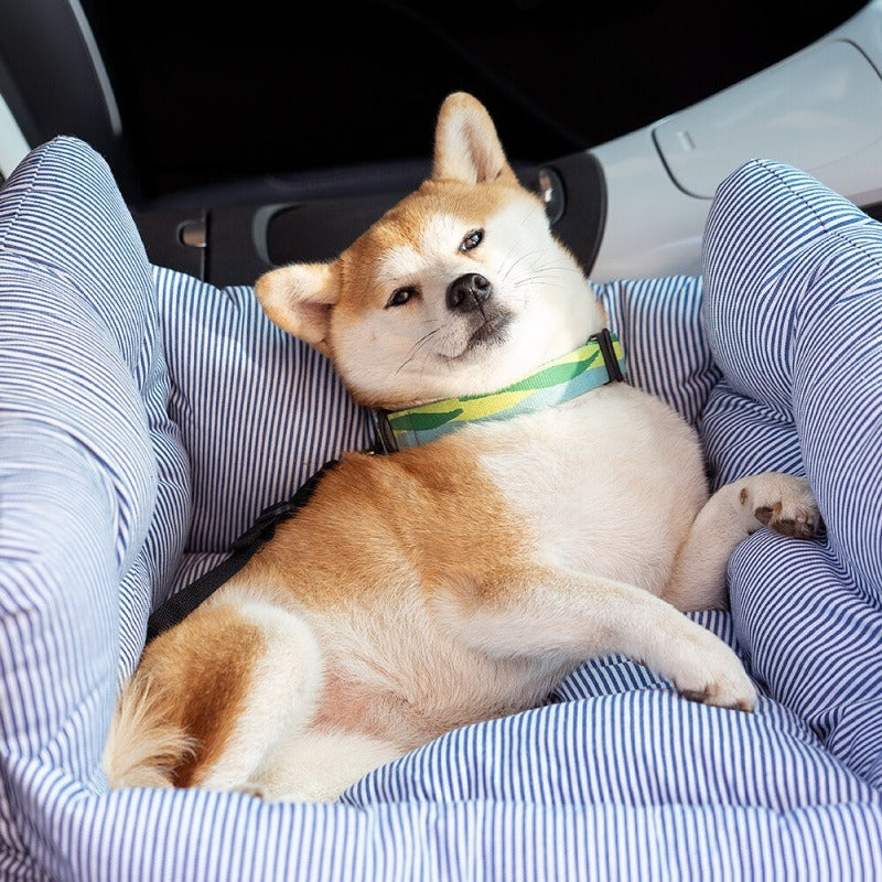 Car Kennel Pet Seat for Co-driving