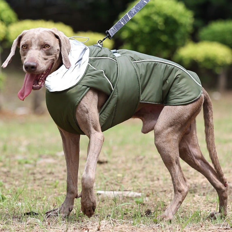 Pet Dog Winter Cotton Jacket