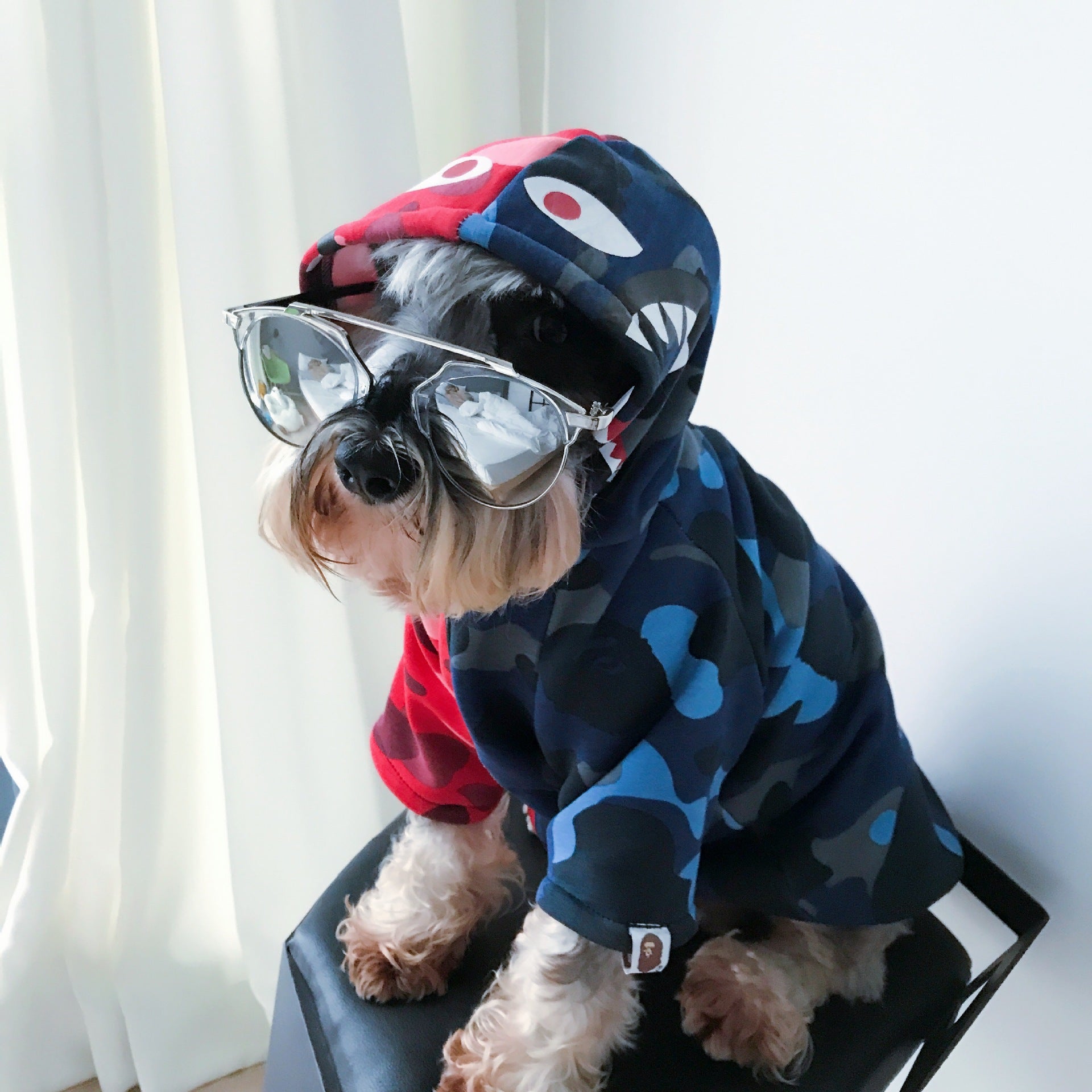Thick Fall/Winter Pet Hoodie for Dogs and Cats