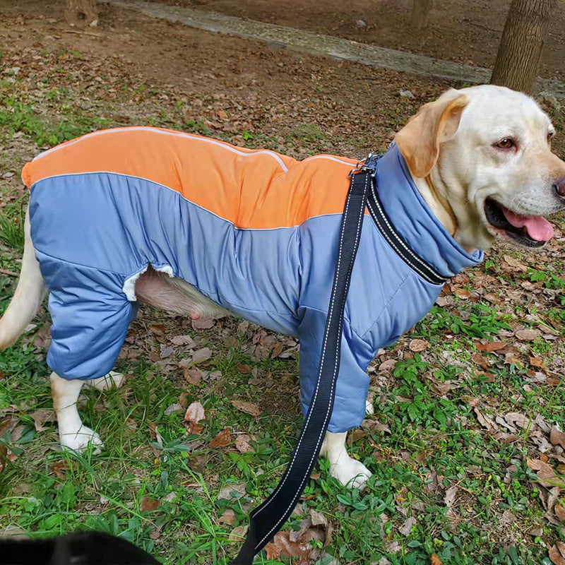 Golden Retriever Cotton Coat for Medium & Large Dogs