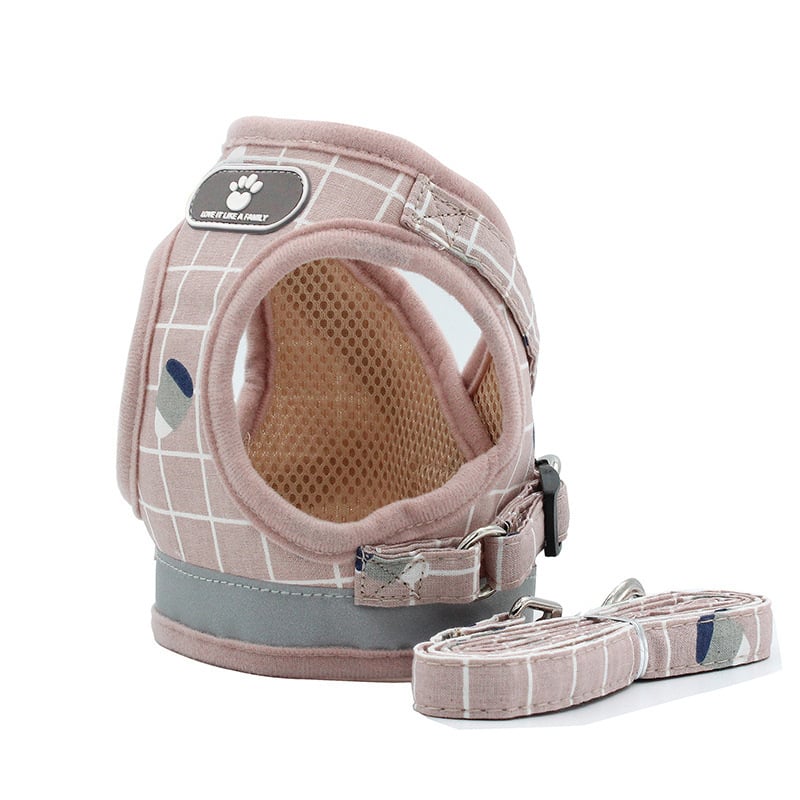 Reflective Dog Leash for Nighttime Walks