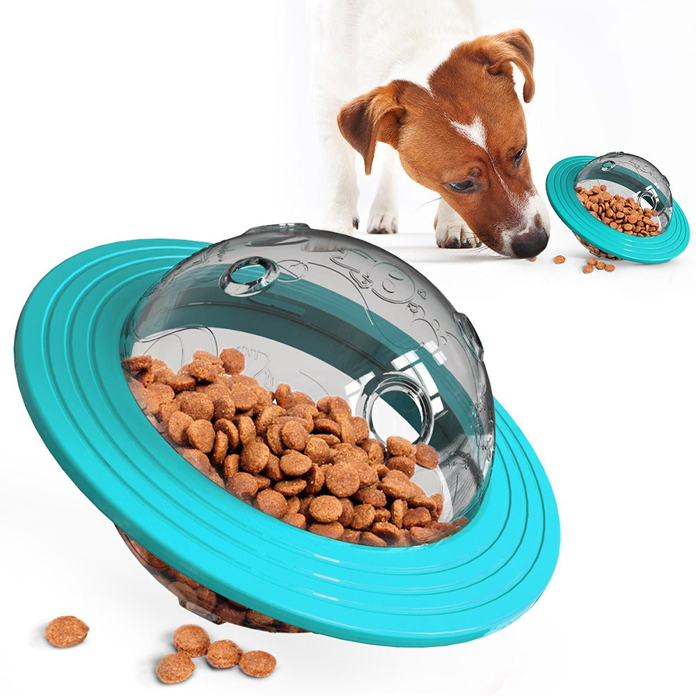 Pet Educational Food Toy