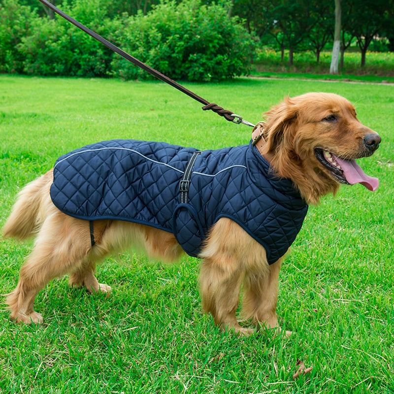 Pet Cotton Jacket Adjustable