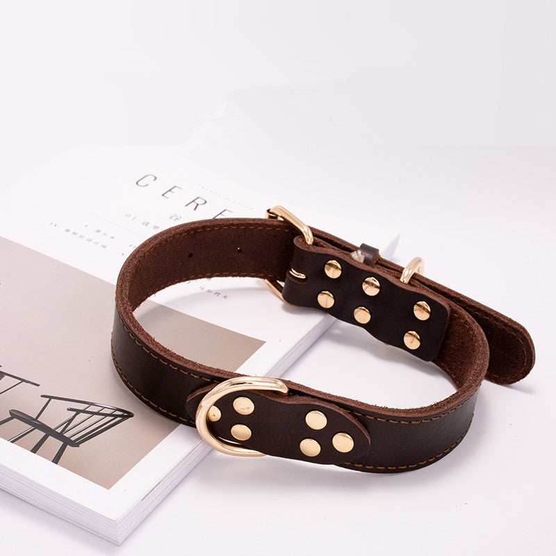 Leather Dog Collar for Whippet and Greyhound Breeds