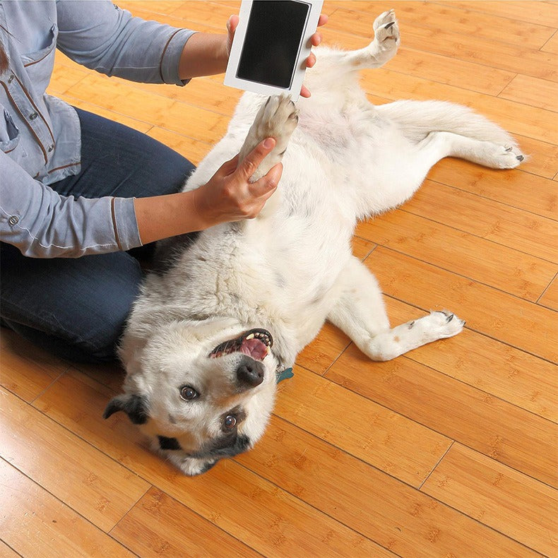 Children & Pets Fingerprint Photo Album DIY