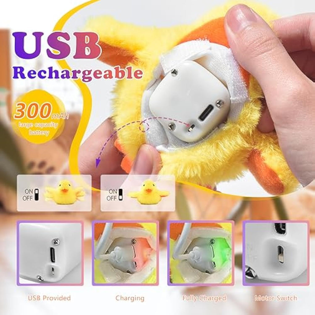 Catnip Duck Toy
