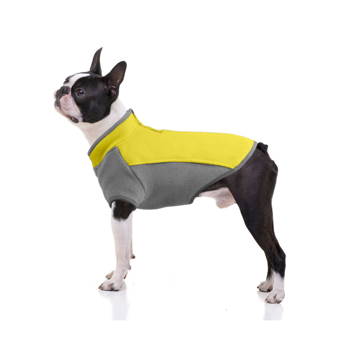 Big Dog Casual Thick Cotton-Padded Jacket