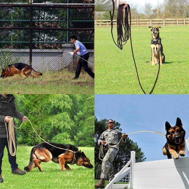 Pet Training Leash for Medium to Large Dogs